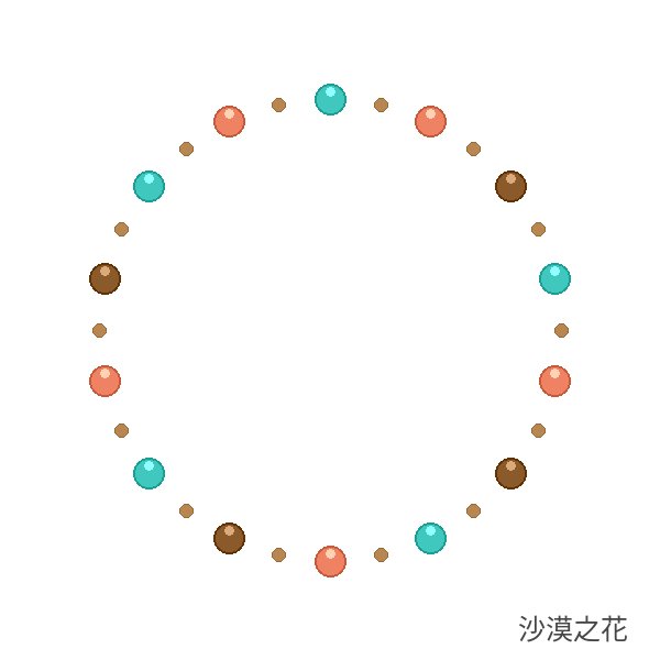 沙漠之花